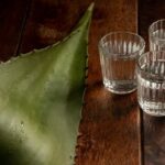 WhatsApp Image 2024-11-28 at 10.17.27 AM