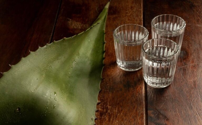 Vive este fin de semana el Festival del Tequila y el Mezcal en González, Tamaulipas
