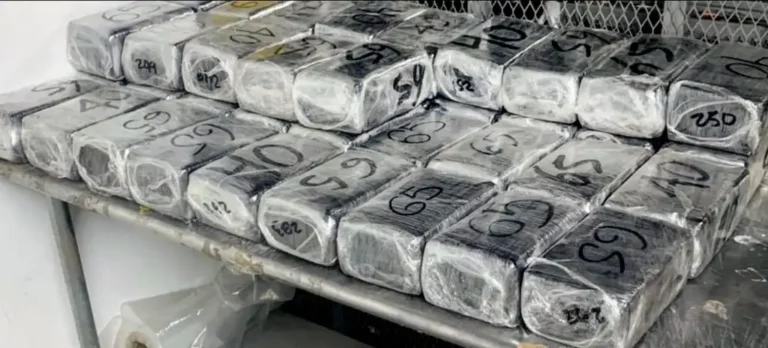 Vinculan a proceso en Baja California a conductor por transportar más de una tonelada de droga