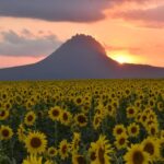 WhatsApp Image 2024-12-04 at 2.03.24 PM (2)