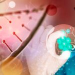 WhatsApp Image 2024-12-10 at 10.37.05 AM