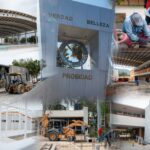 WhatsApp Image 2024-12-10 at 11.14.51 AM