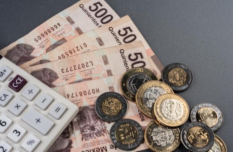 México perfila una subida del 5% en los ingresos tributarios en 2024 y del 8% en 2025