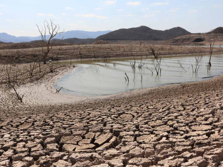 Las principales de ALTHER del 15 de enero de 2025