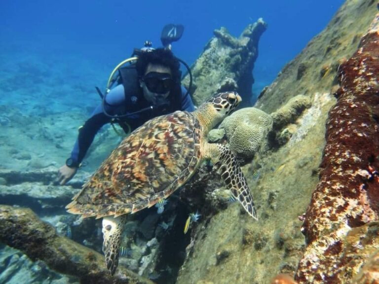 ¿Ya conoces la isla paradisíaca a dos horas de Tampico?