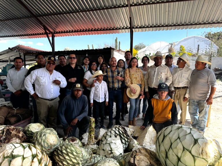 Promocionan el mezcal tamaulipeco en Puebla