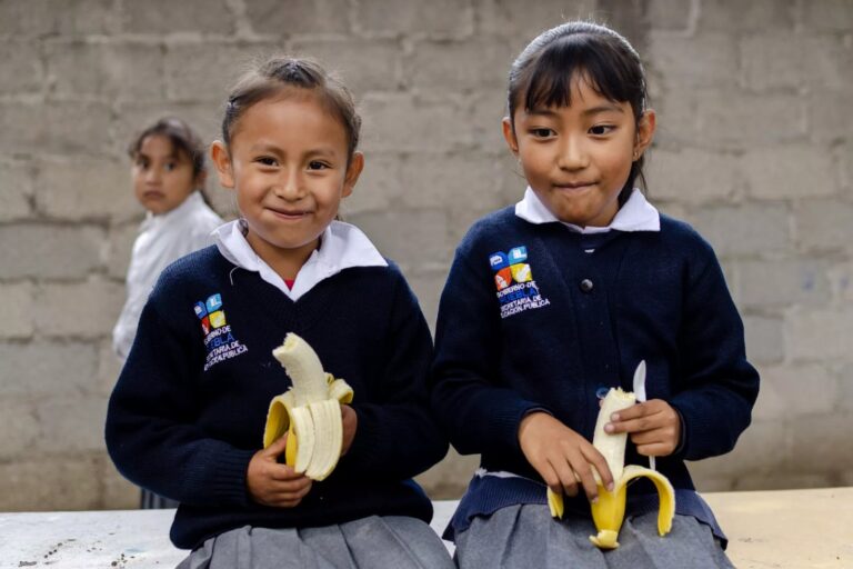 ¿Sabes qué alimentos sí se pueden consumir en escuelas y cuáles no? Aquí te lo decimos