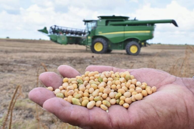 Hacen balance de la situación agrícola de Tamaulipas
