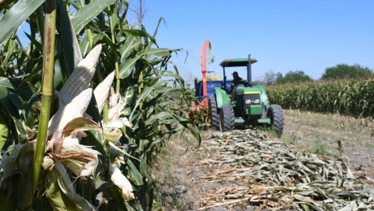 Crece 4% actividad económica de Tamaulipas