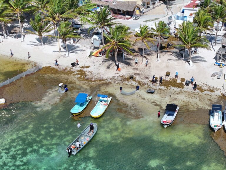 Eliminan el sargazo en playas del Caribe mexicano